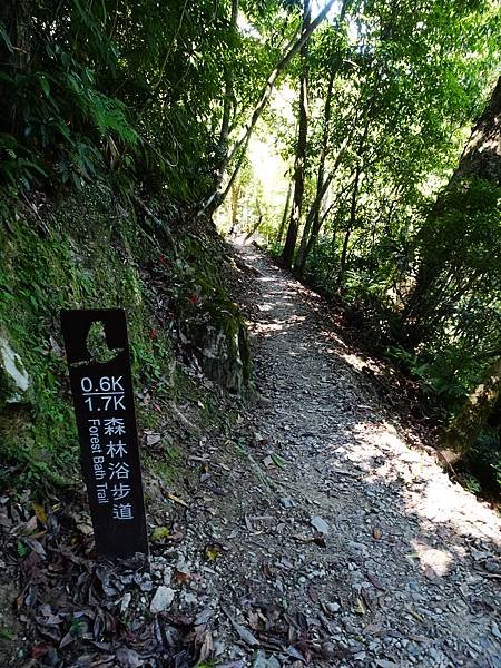 《新北烏來》內洞國家森林遊樂區~ 3條步道，順時鐘走法較不累