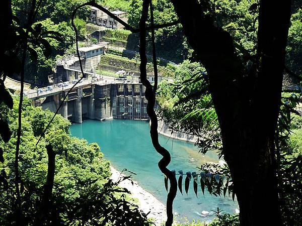 《新北烏來》內洞國家森林遊樂區~ 3條步道，順時鐘走法較不累