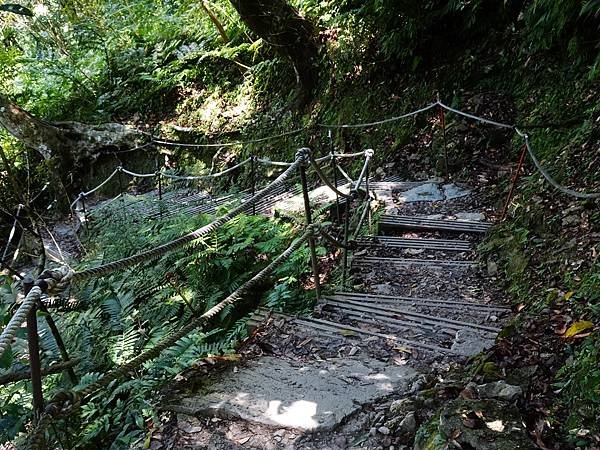 《新北烏來》內洞國家森林遊樂區~ 3條步道，順時鐘走法較不累