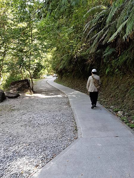 《花蓮》白楊步道/走蘇花改，輕鬆一日遊