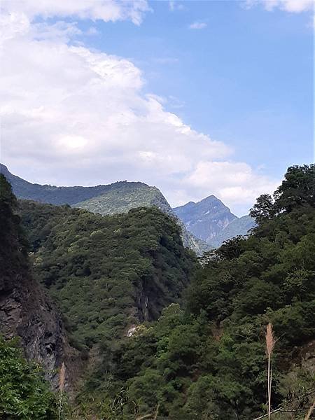 《花蓮》白楊步道/走蘇花改，輕鬆一日遊