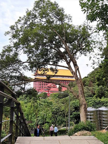 《台北市》劍潭山親山步道~圓山大飯店到老地方，劍潭山#009