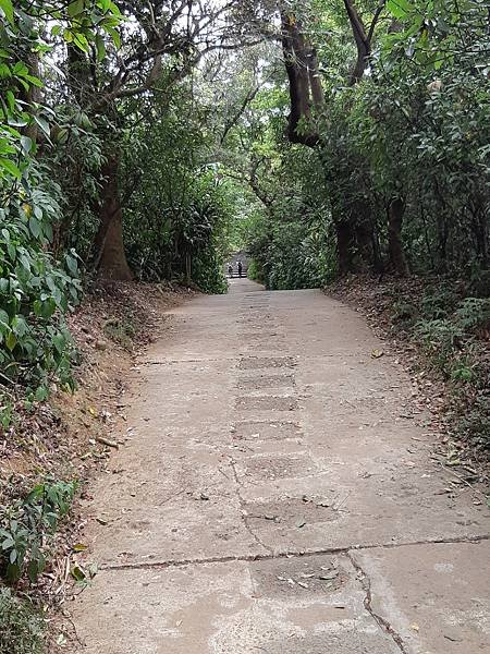 《台北市》劍潭山親山步道~圓山大飯店到老地方，劍潭山#009