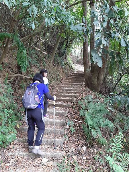 《台北市》劍潭山親山步道~圓山大飯店到老地方，劍潭山#009