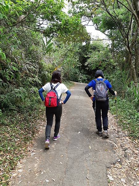 《台北市》劍潭山親山步道~圓山大飯店到老地方，劍潭山#009