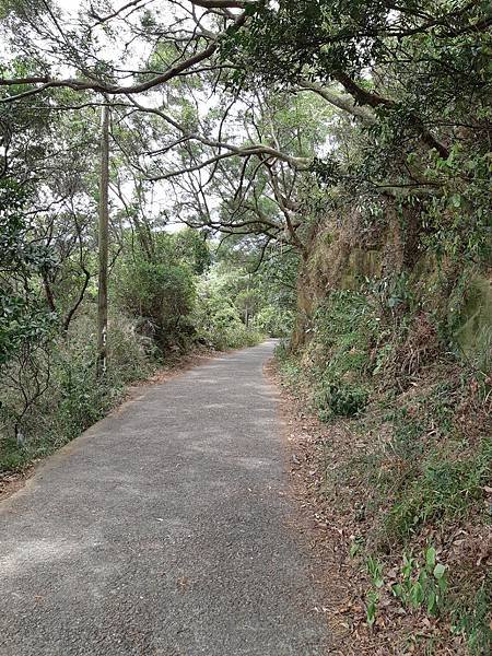 《台北市》劍潭山親山步道~圓山大飯店到老地方，劍潭山#009