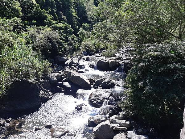 《新北三峽》滿月圓國家森林遊樂區~夏日的森林浴