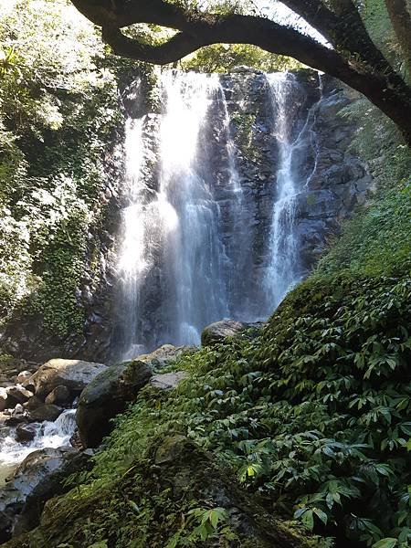 《新北三峽》滿月圓國家森林遊樂區~夏日的森林浴