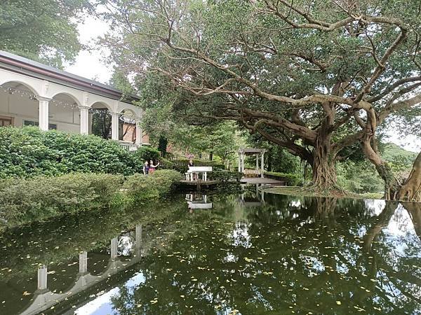 《台北市》陽明山~真愛桃花源 庭園餐廳，戶外教堂超好拍