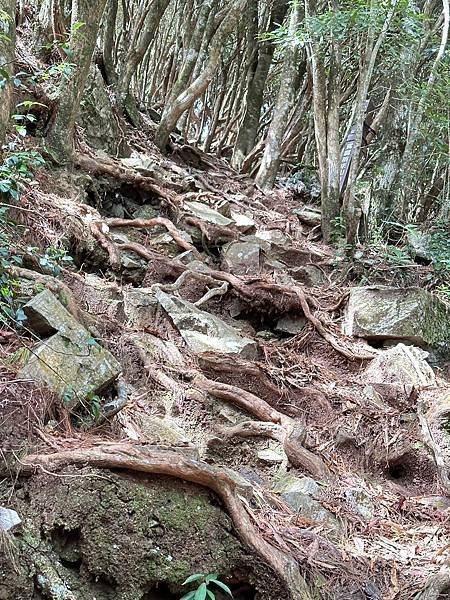 LINE_ALBUM_鳶嘴山～香手機_221115_1.jpg