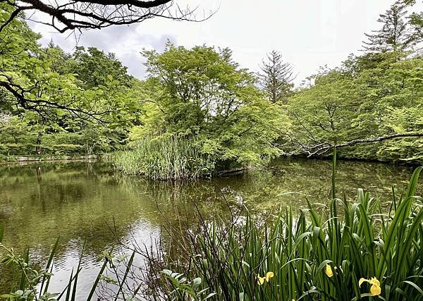 《日本》輕井澤自由行