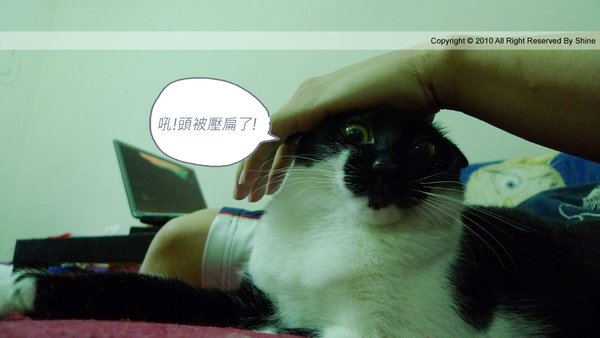 P1130849_revised.jpg