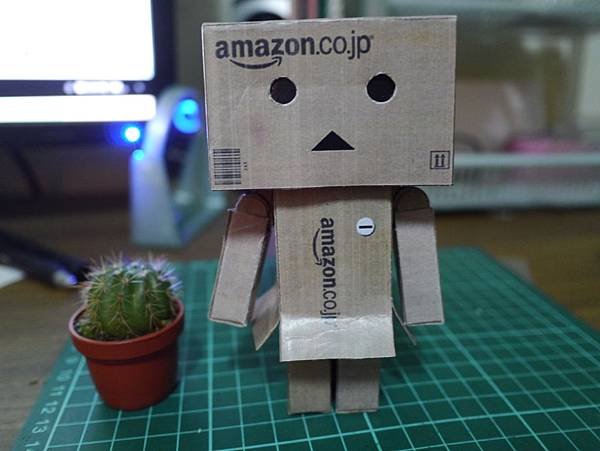 P1030869.JPG