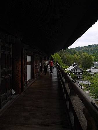 115.JPG