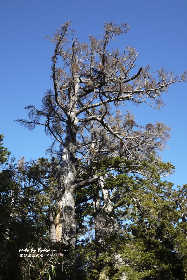 049單攻玉山西峰