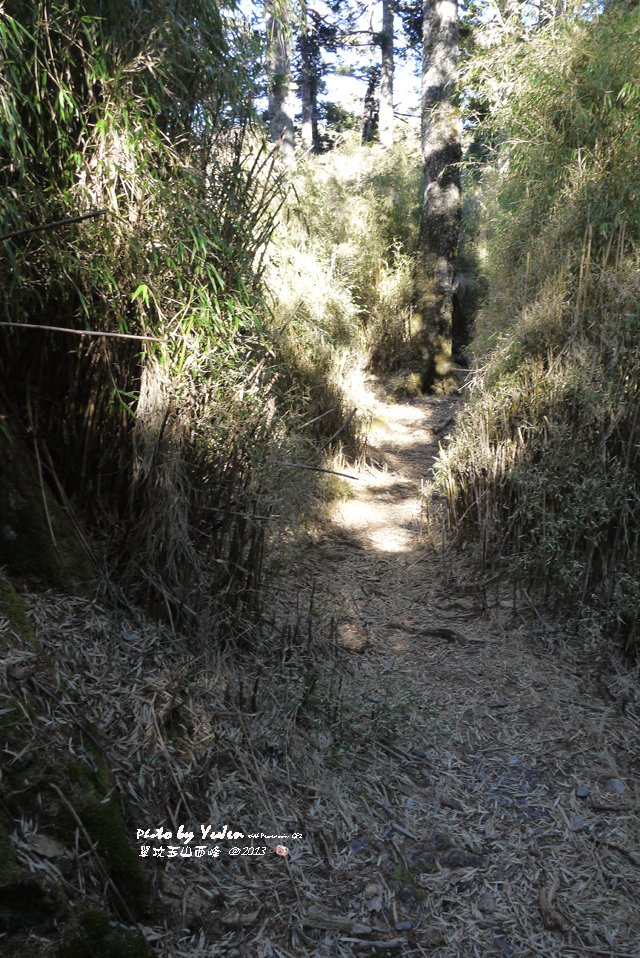 050單攻玉山西峰