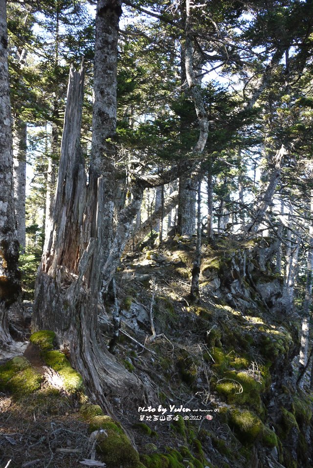 064單攻玉山西峰