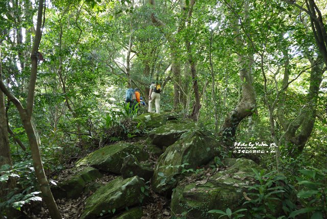 016外鳥嘴山_那結山