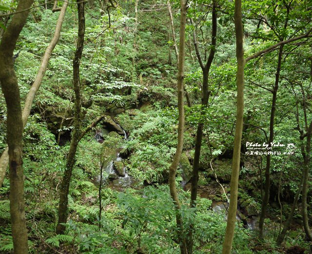 070外鳥嘴山_那結山