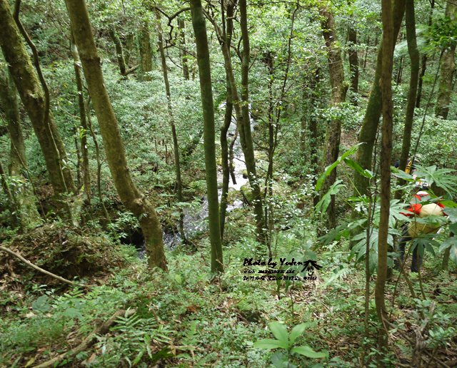 071外鳥嘴山_那結山