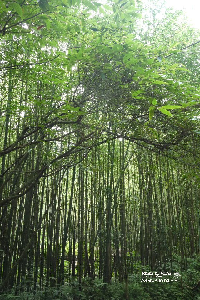 083外鳥嘴山_那結山