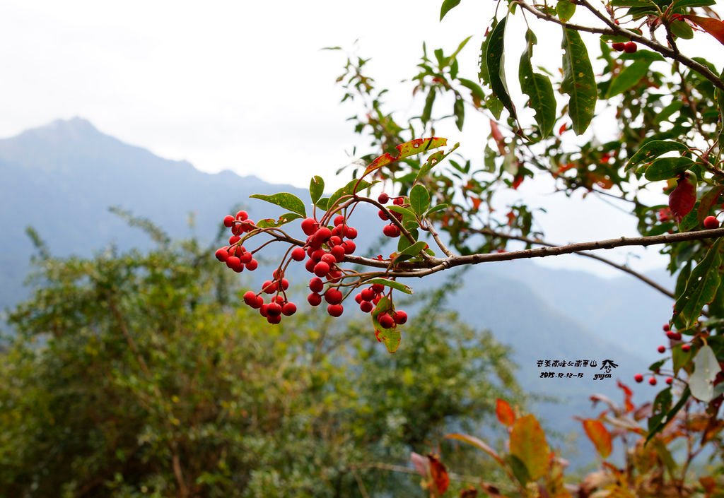 064奇萊南峰南華山.jpg