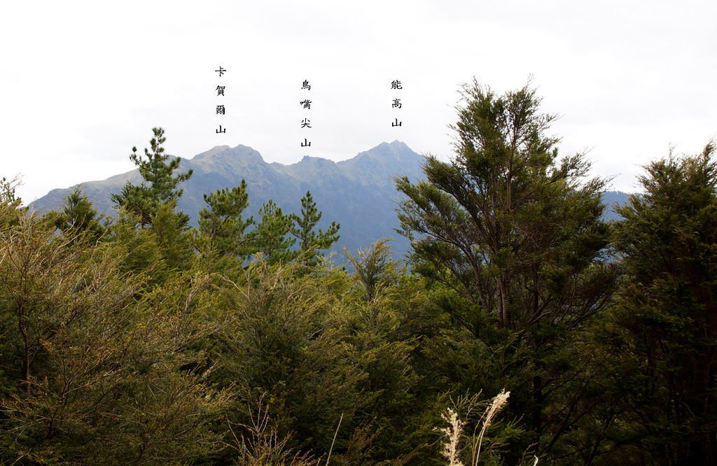 072奇萊南峰南華山.jpg