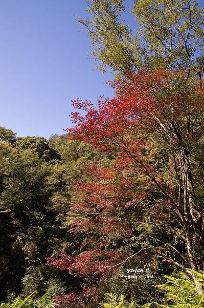 045大霸群峰.jpg