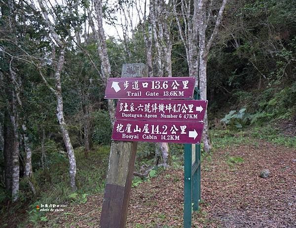 536新康橫斷.jpg