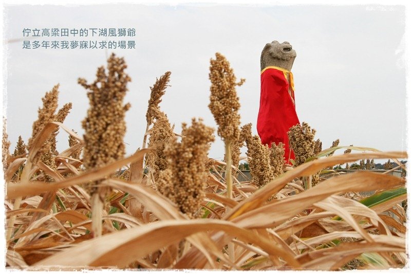 下湖01.JPG