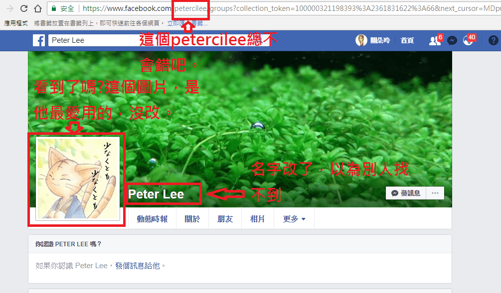 petercileefacebook.PNG