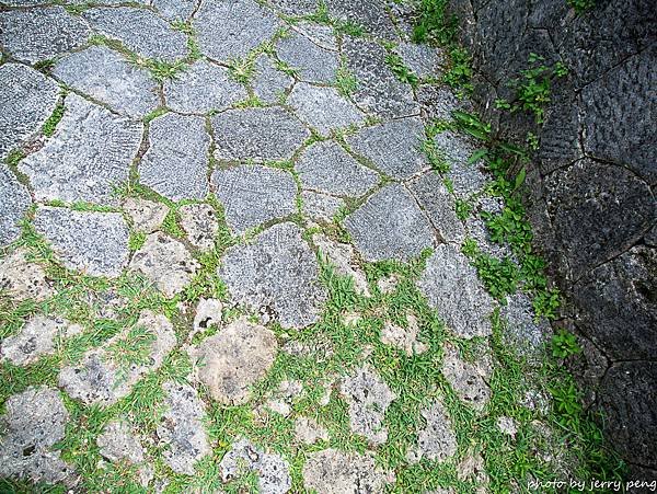 P1400318.jpg