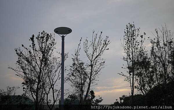 P1060569.JPG