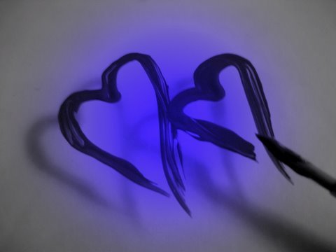 2294246700_fe091a66e8.jpg