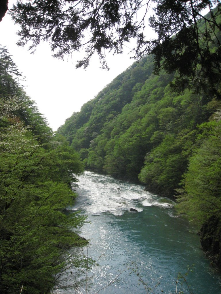 IMG_0314.JPG