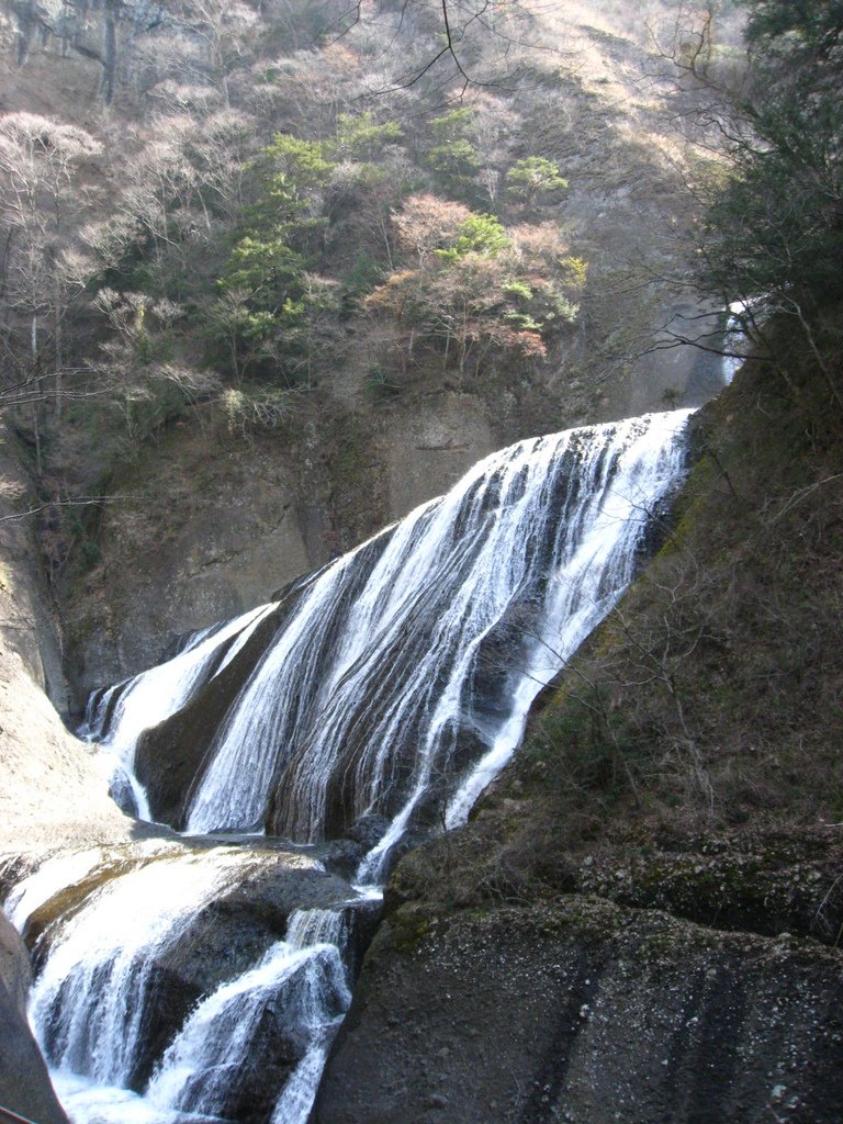 IMG_1829.JPG