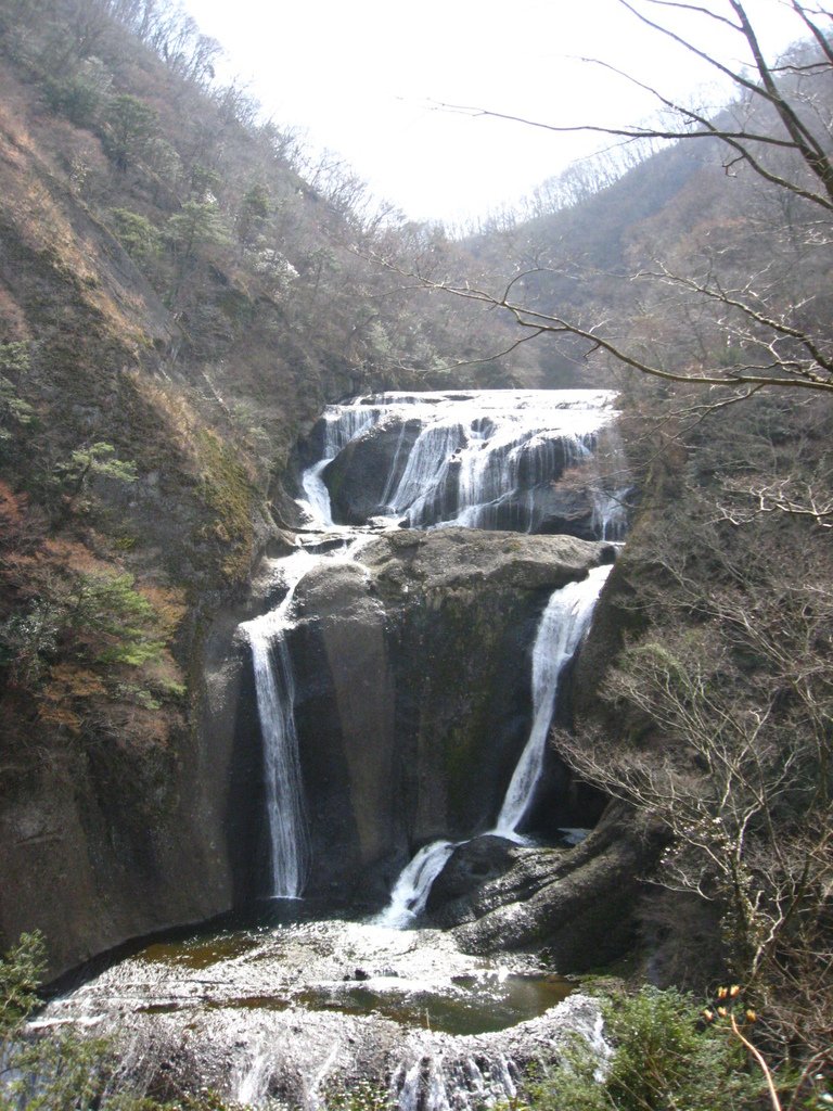 IMG_1837.JPG