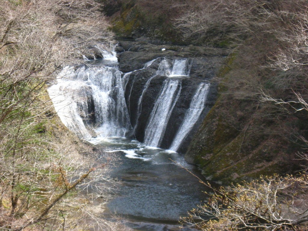 IMG_1848.JPG