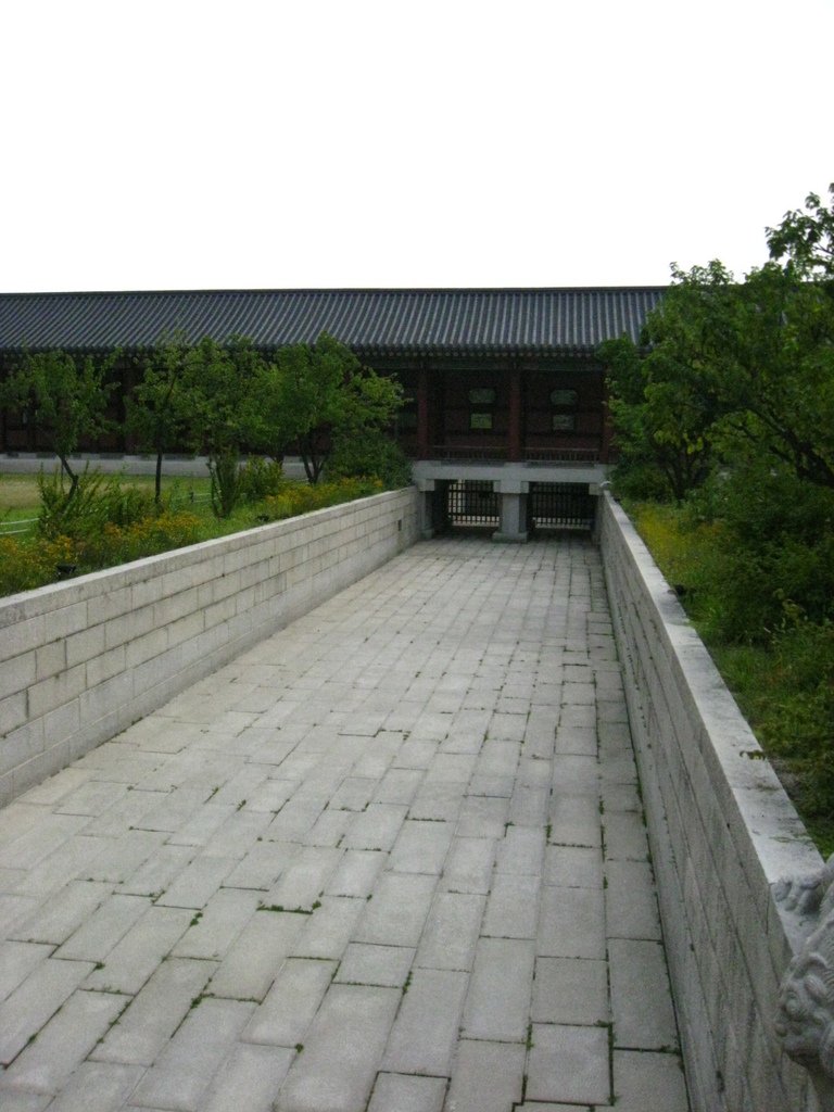 IMG_2785.JPG