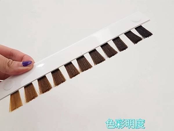 27332669_409246356155901_6244205667836479277_n.jpg