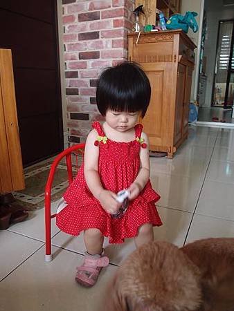 P6050290.jpg