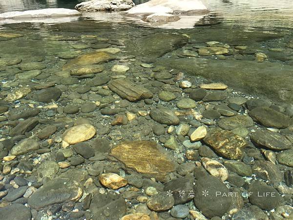 IMG_7062.JPG