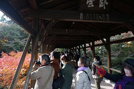 京都東福寺