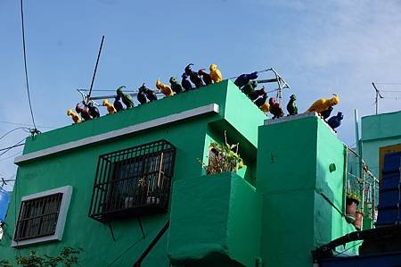 2014 首爾釜山. 甘川洞文化村