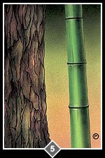 zen063.jpg