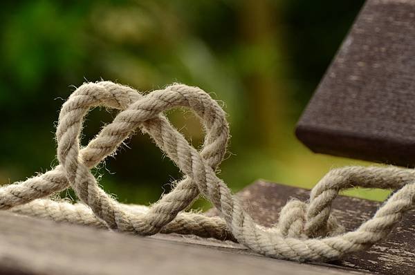 branch-rope-love-heart-friendship-together-602101-pxhere.com.jpg