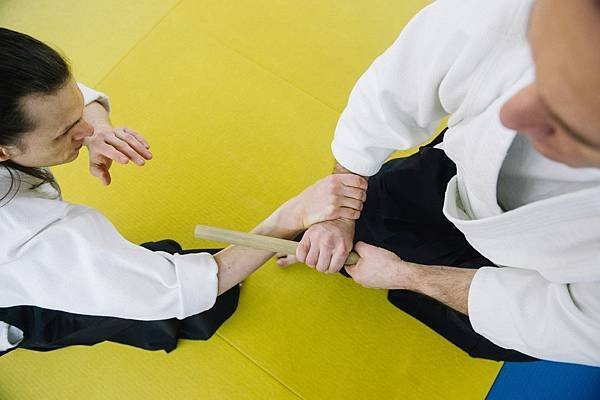 two-men-practicing-aikido-3629181.jpg