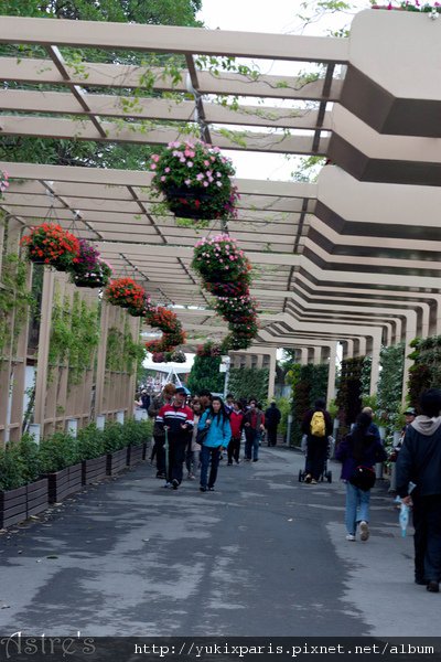 花之隧道。