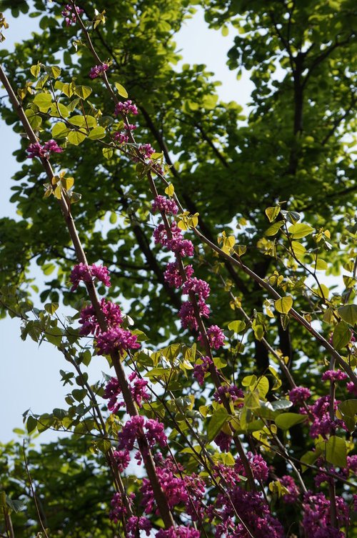 DSC04490