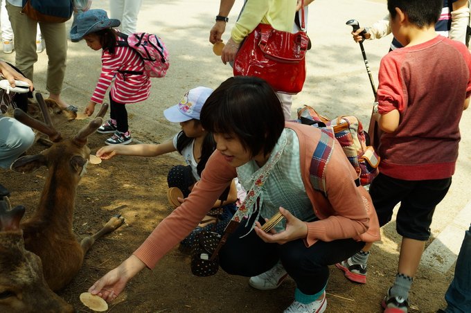 DSC09335_resize